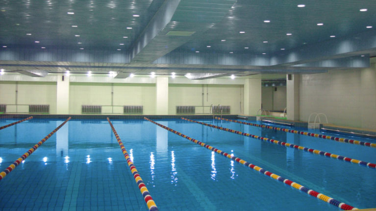 泳池,泳池維護